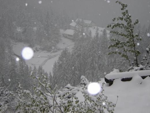 Snow in June