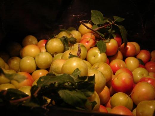 Still life