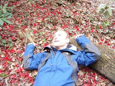 American beauty?