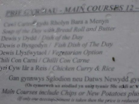 The vegetarian menu option