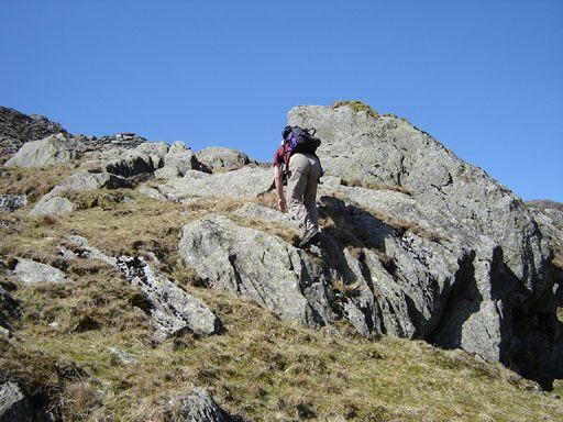 Nev, umm, climbing