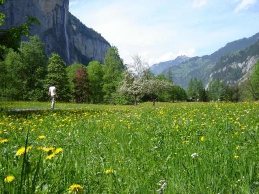 Kiki heading into the Lauterbrunnen valley