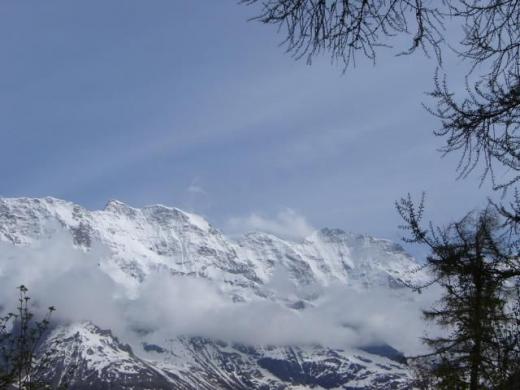 Some alps