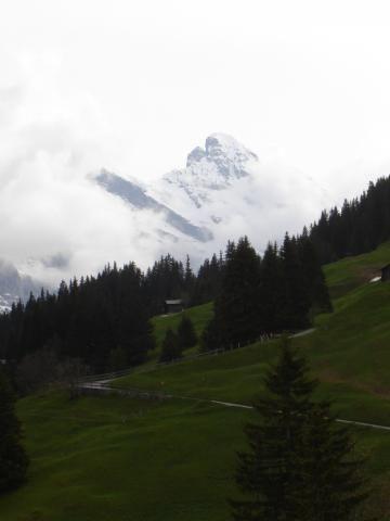 More alps