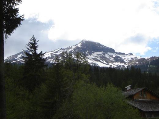 Mountain